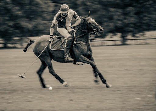 Kirtlington POLO club