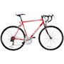 adultbikke