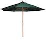 parasol